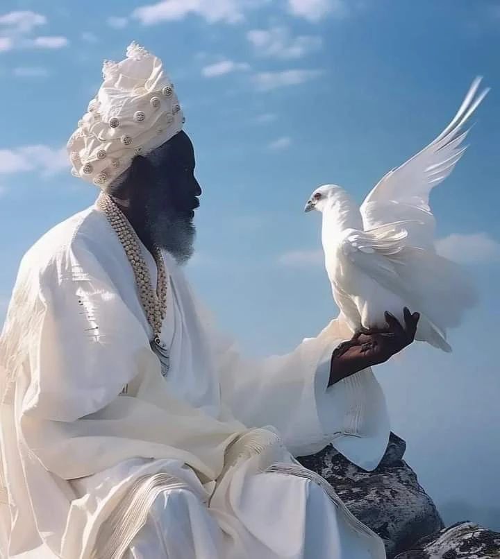 marabout africain DAH AGBO 
